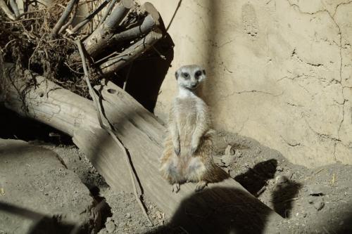 Calgary Zoo