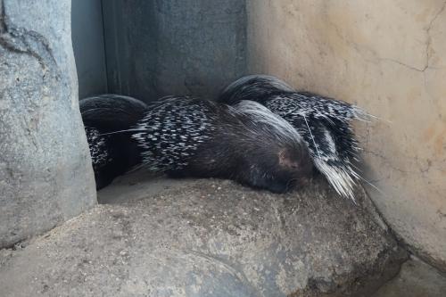 Calgary Zoo