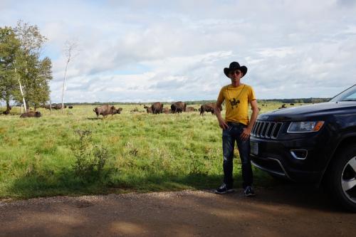 Elk-Island-Nationalpark