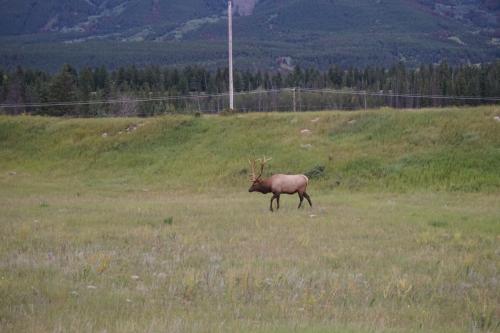 Jasper National Park