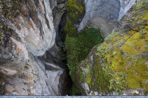 Jasper National Park