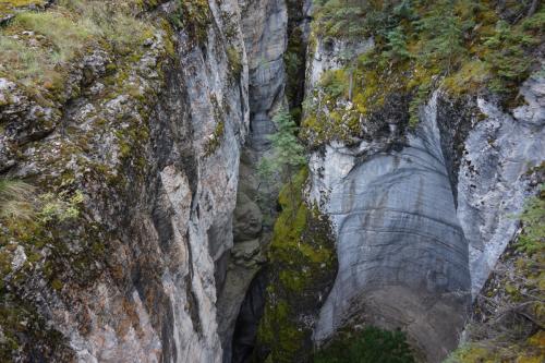 Jasper National Park