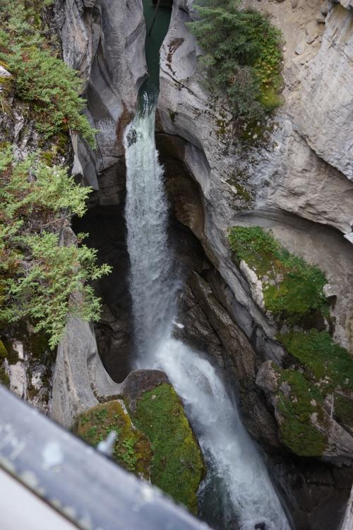 Jasper National Park