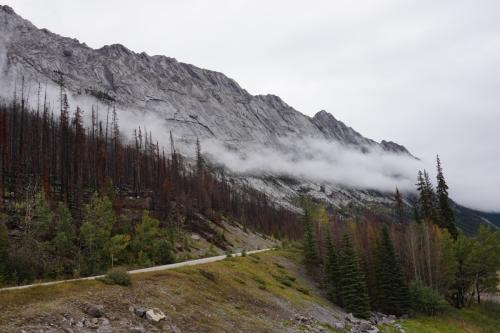 Jasper National Park