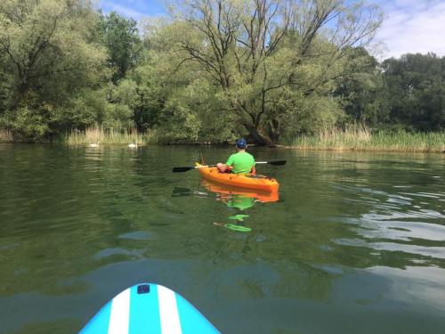 Kayak tour on Lake Constance