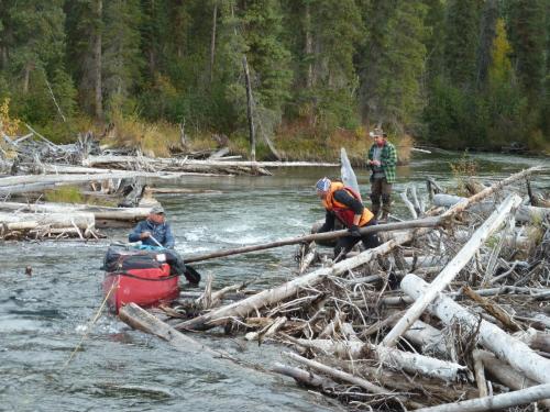 Canoe tour in the Yukon